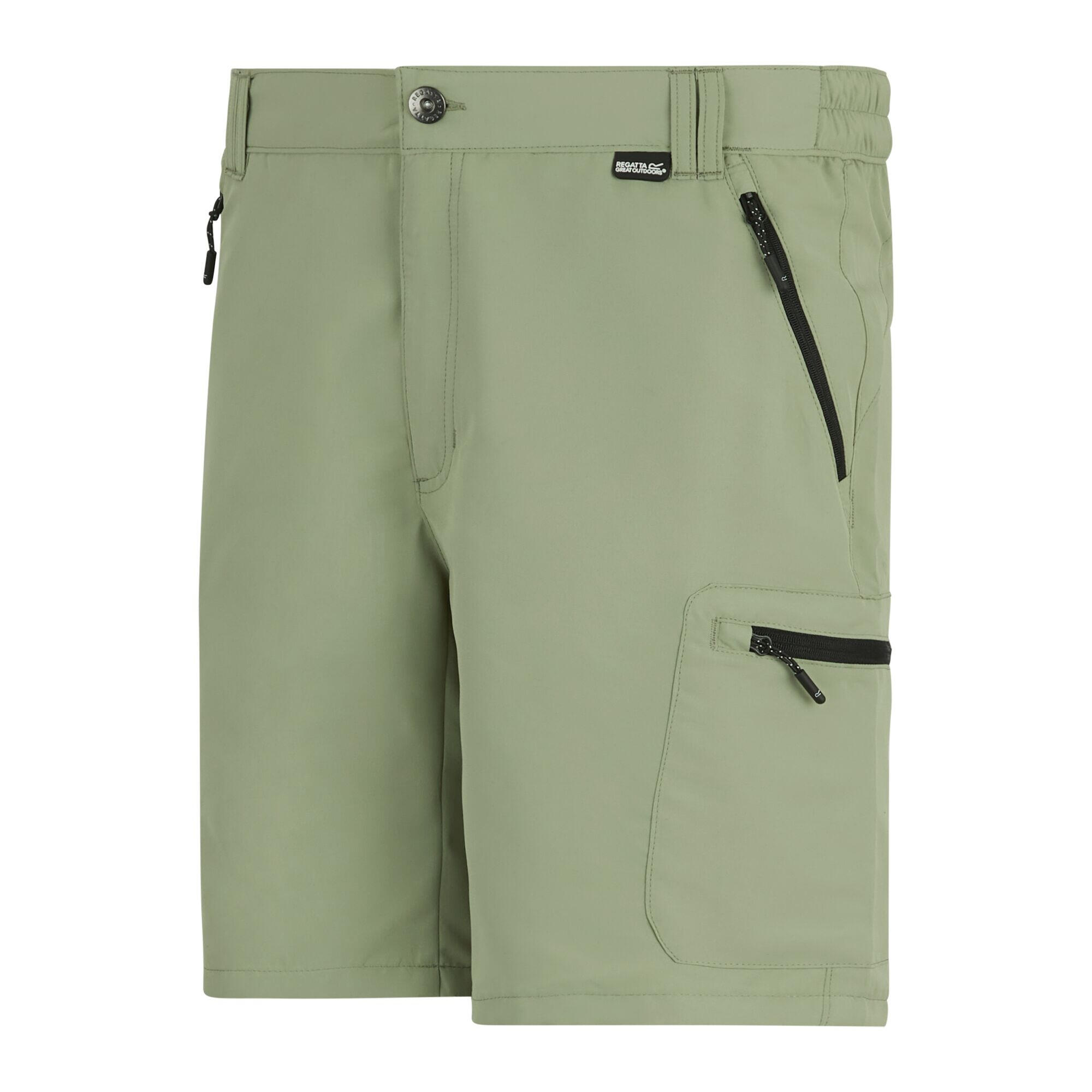 Short LEESVILLE Homme (Sauge Clair) 3/5