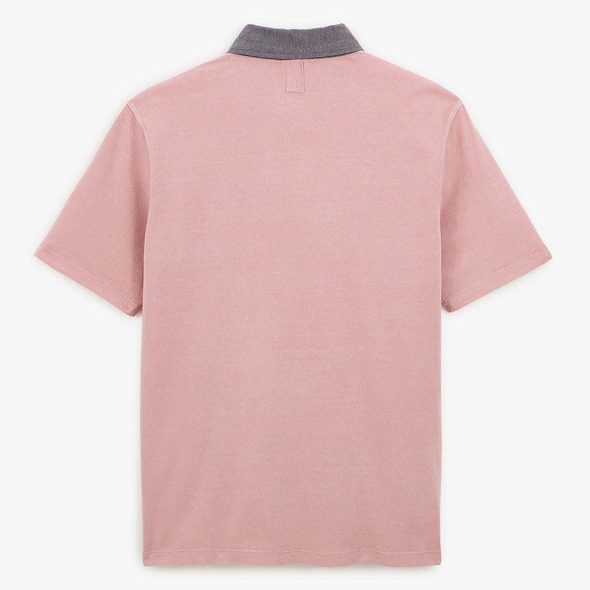 Polo de manga corta de jersey de algodón con bordado de gallo rosa 3/5