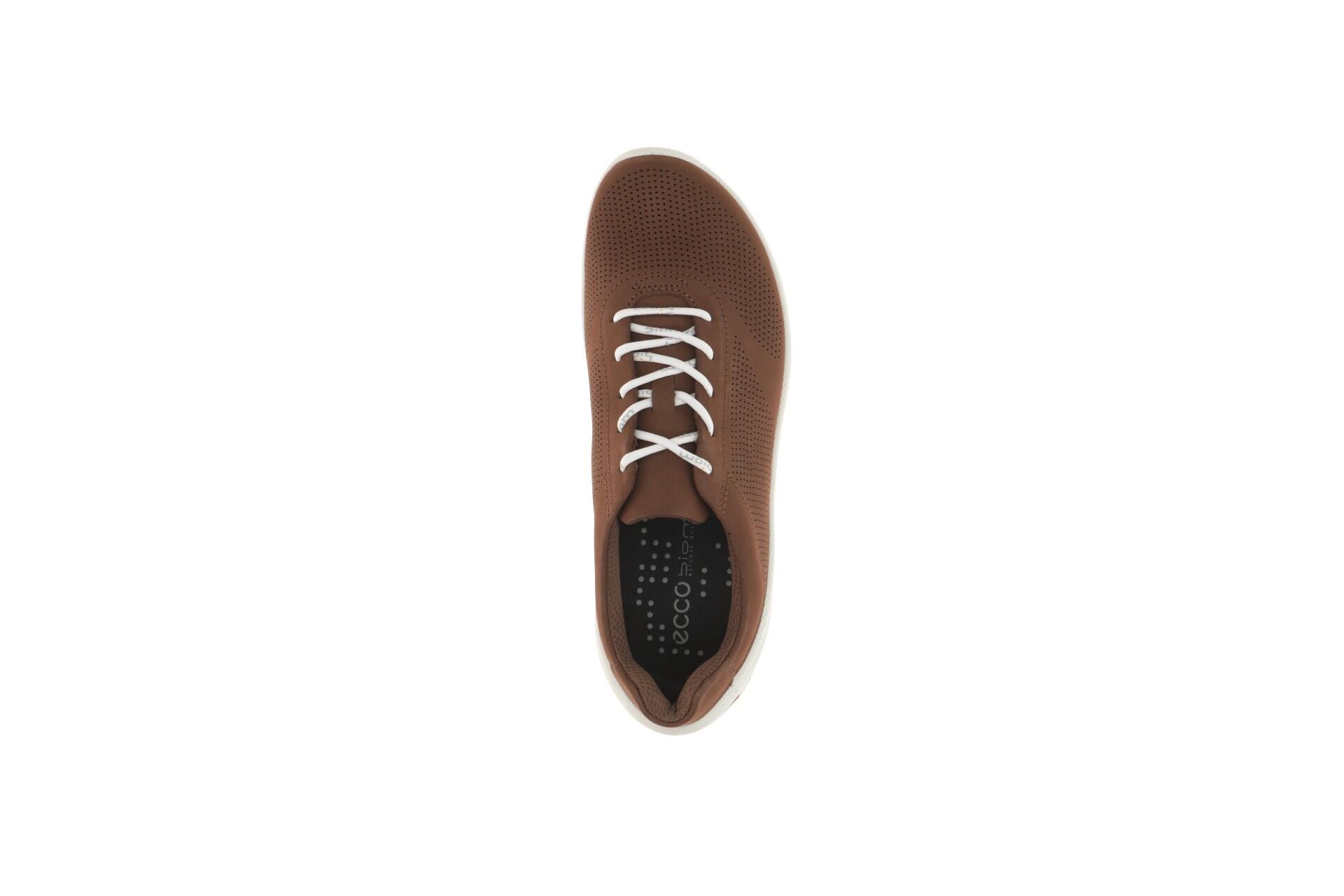 Ecco Biom Lite Schuhe braun Herren 802384 6/7