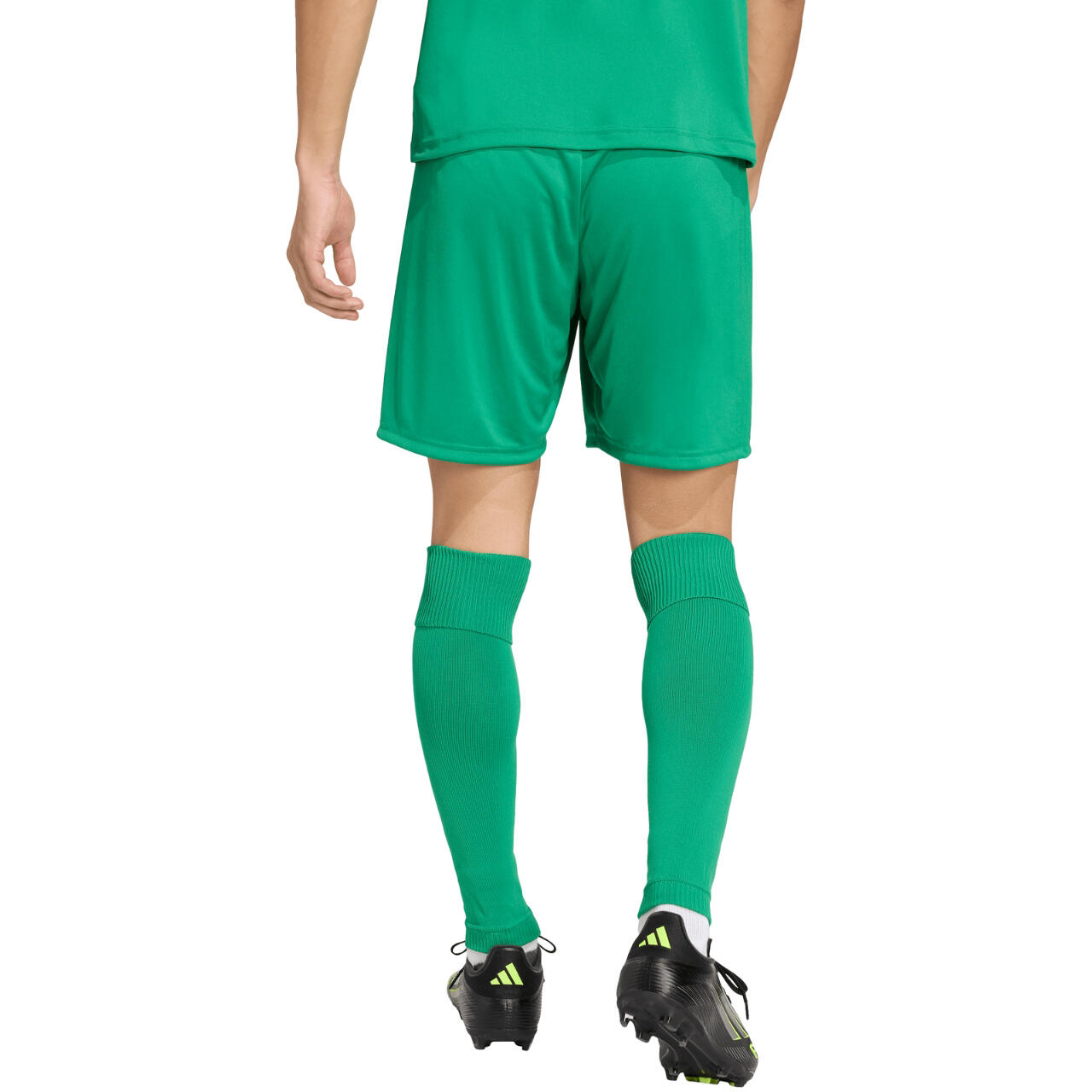 Herenshort adidas training groen 3/6