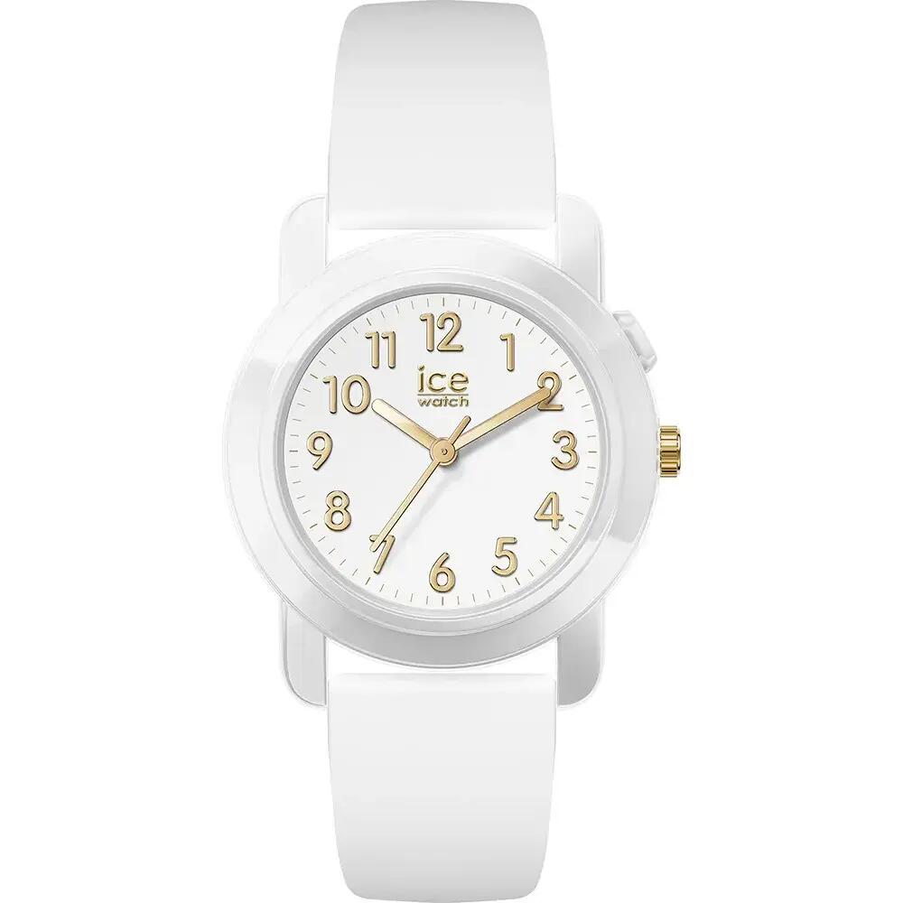 ICE WATCH picture
