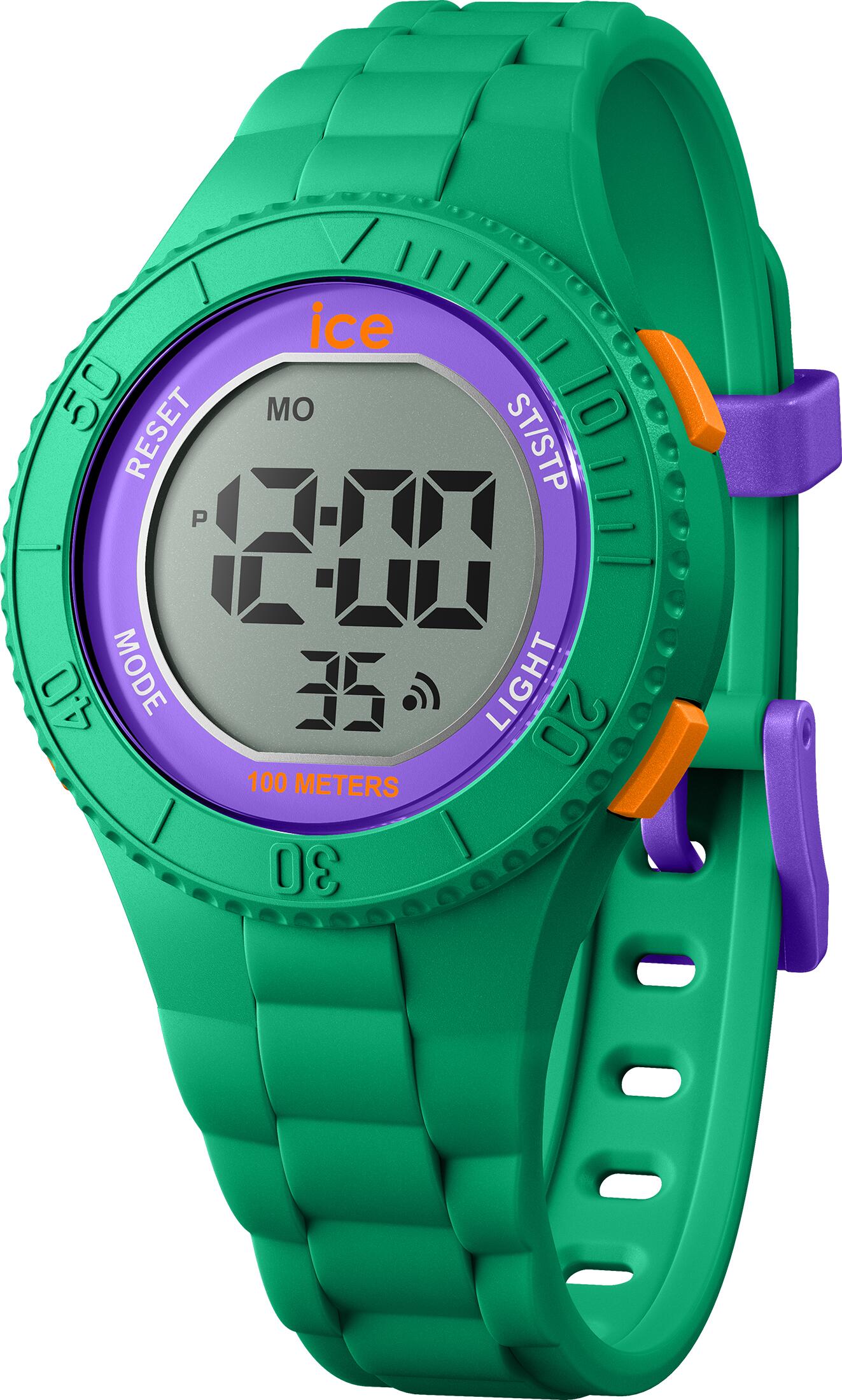 ICE WATCH picture