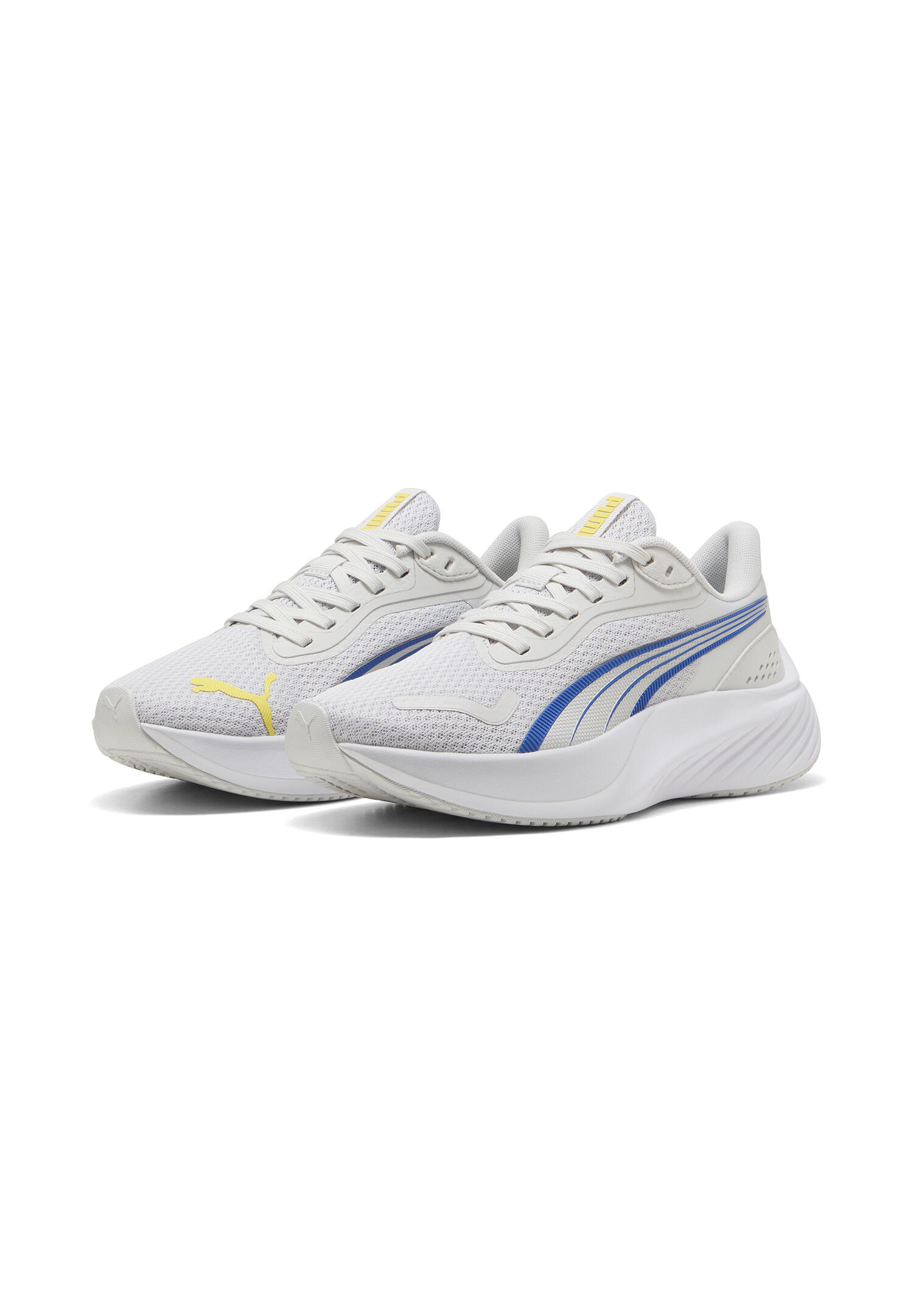 PUMA picture