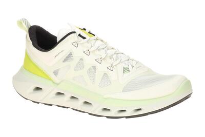 Trainers ecco biom 720