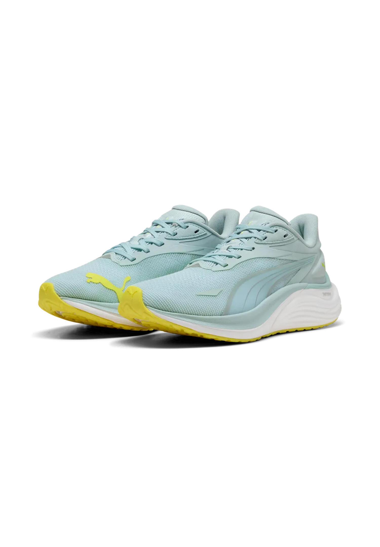 PUMA picture