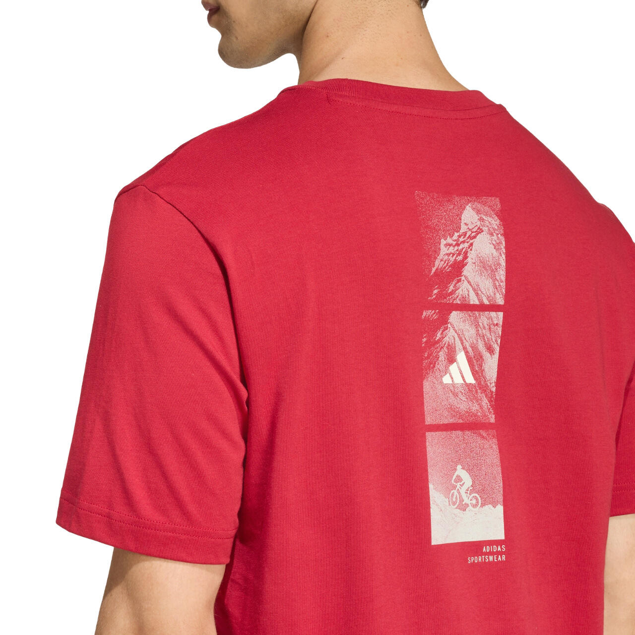 Herren-T-Shirt adidas Outdoor Mountain Biking Graphic 5/6