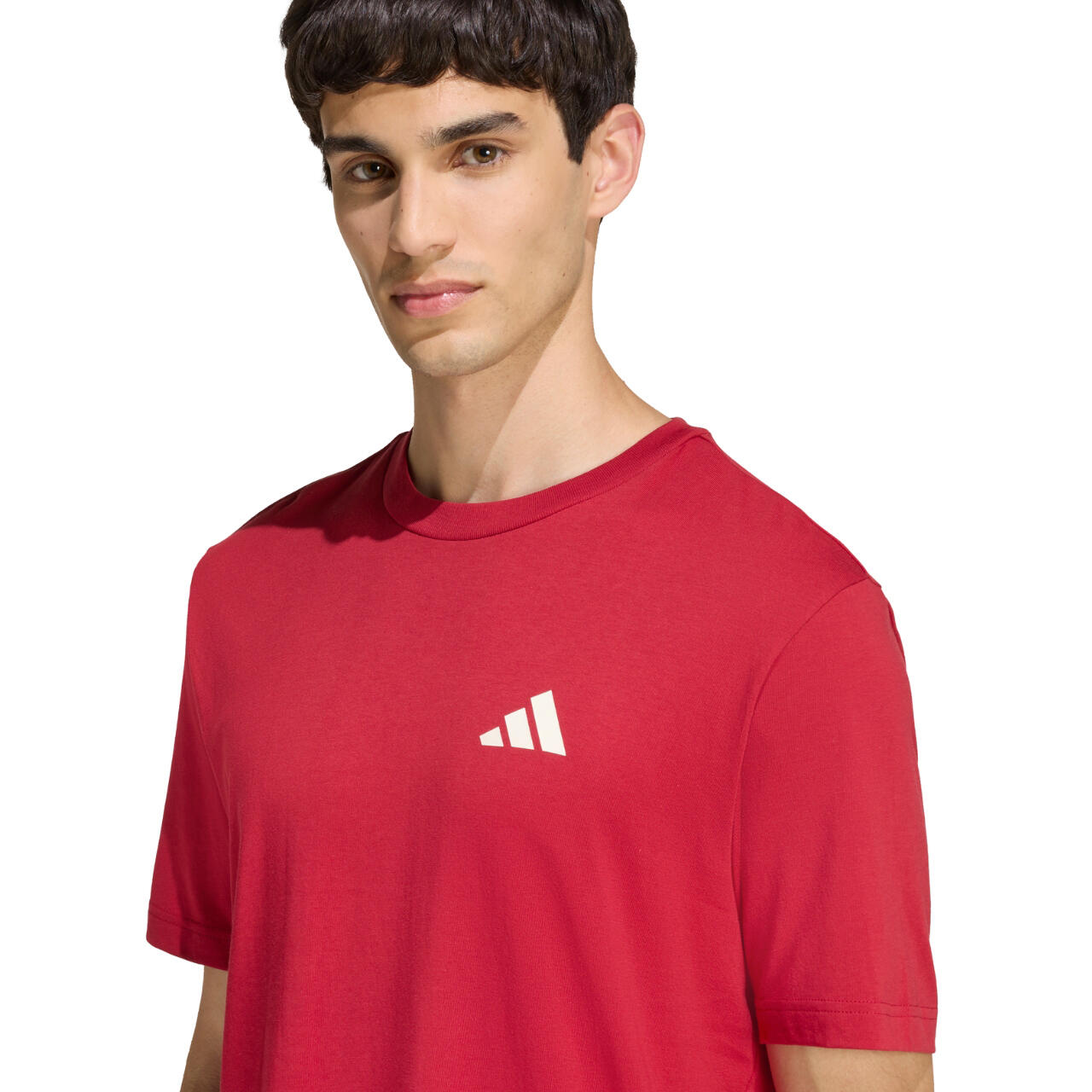 Herren-T-Shirt adidas Outdoor Mountain Biking Graphic 4/6