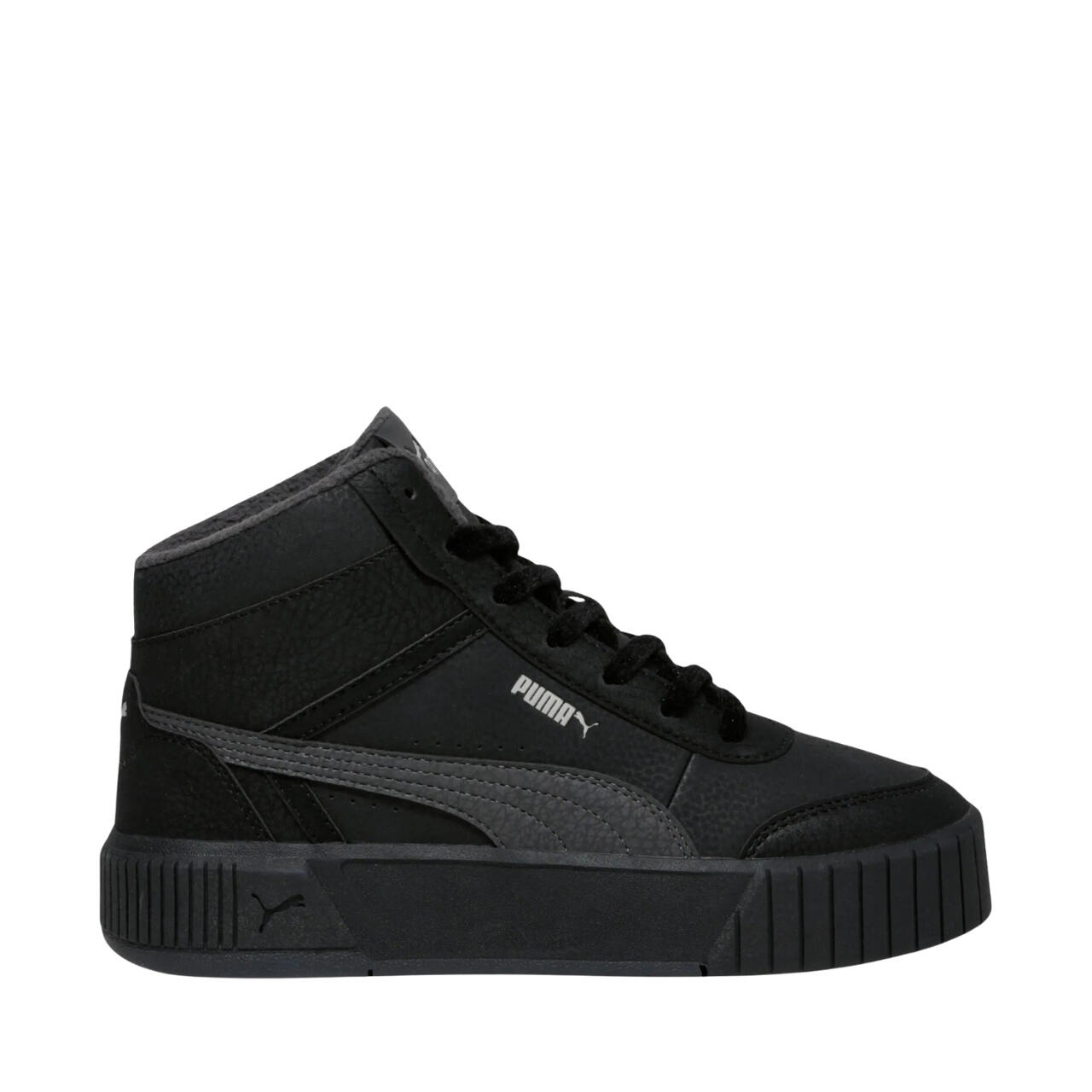 PUMA picture