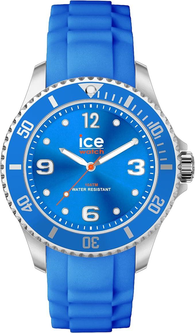 ICE WATCH picture
