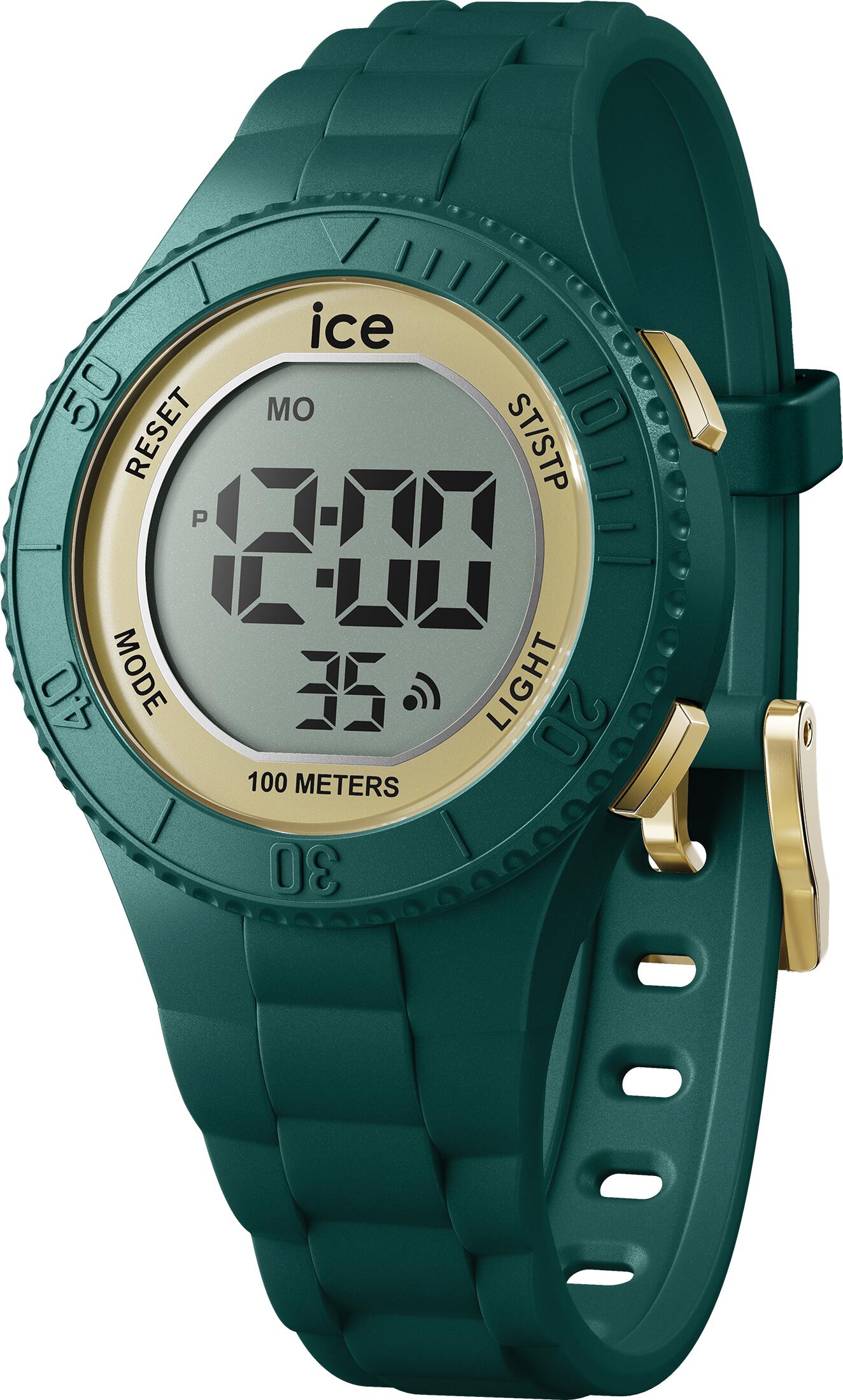ICE WATCH picture