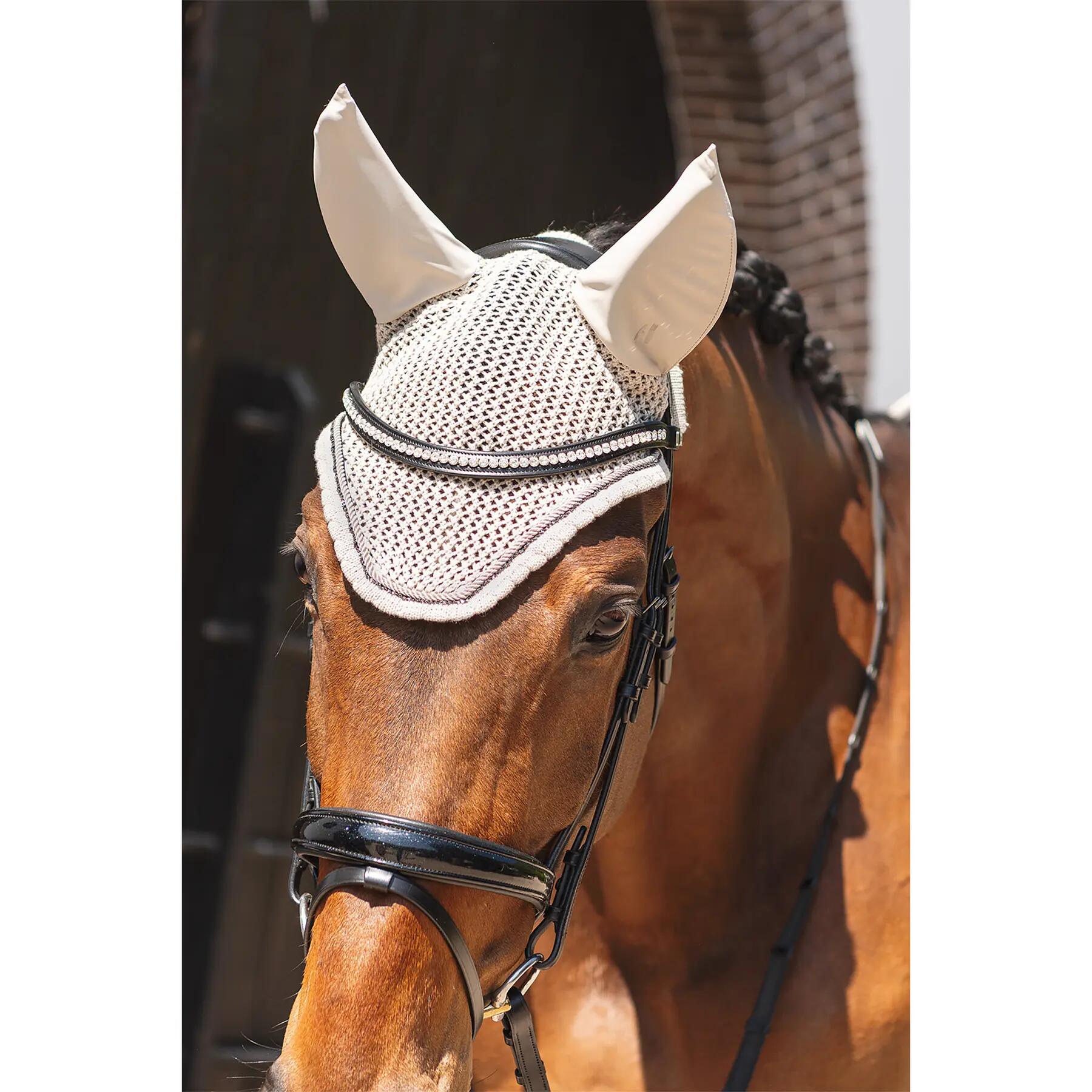 Bonnet court pour cheval ANKY ATB261004 2/5
