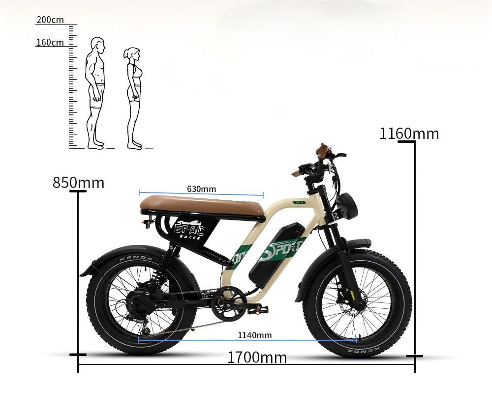 W66 E-Bike Fat Tire Full Suspension – 48V 250W, 20×4, 65 Nm 7/7