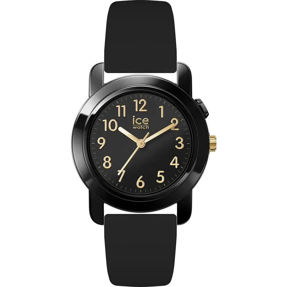 ICE WATCH picture