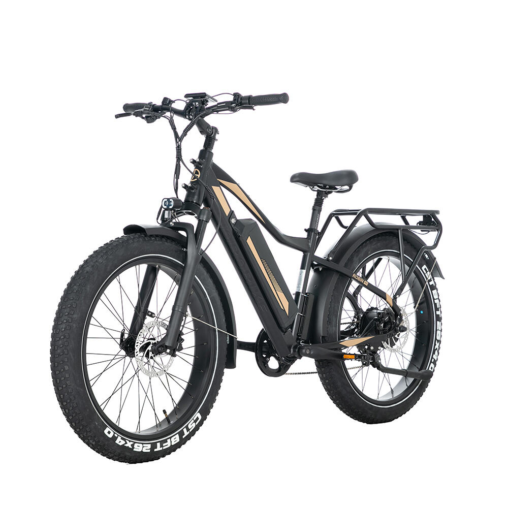 Horské elektrické kolo JOBOBIKE Robin Pro, baterie 48 V 20 Ah, 8 rychlostí 2/4