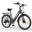 Bicicletă electrică ESKUTE C100 Plus 26" pentru navetiști, baterie 36V 13Ah