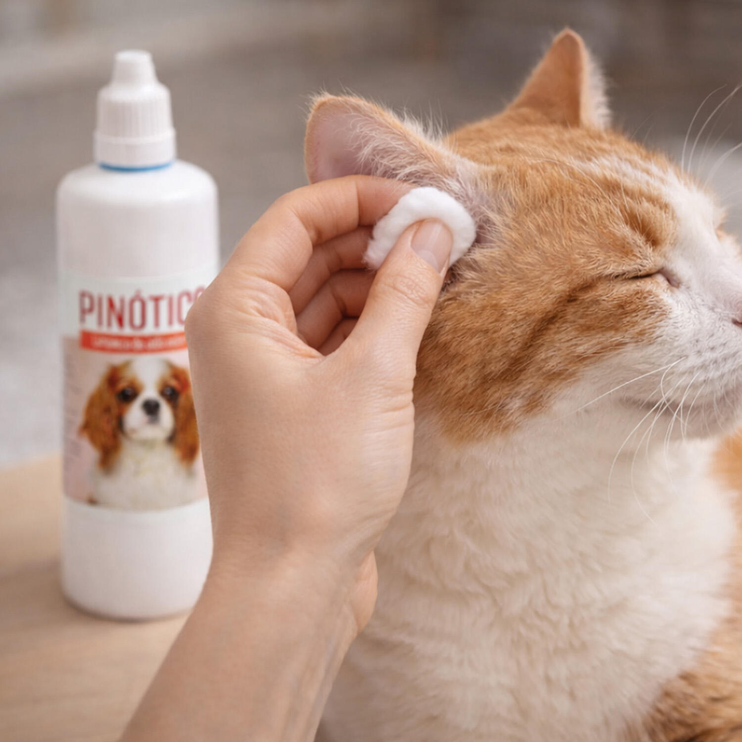 Limpiador Auricular Mascotas Unisex LABORATORIOS PINO Pinotico 100 ml 5/5