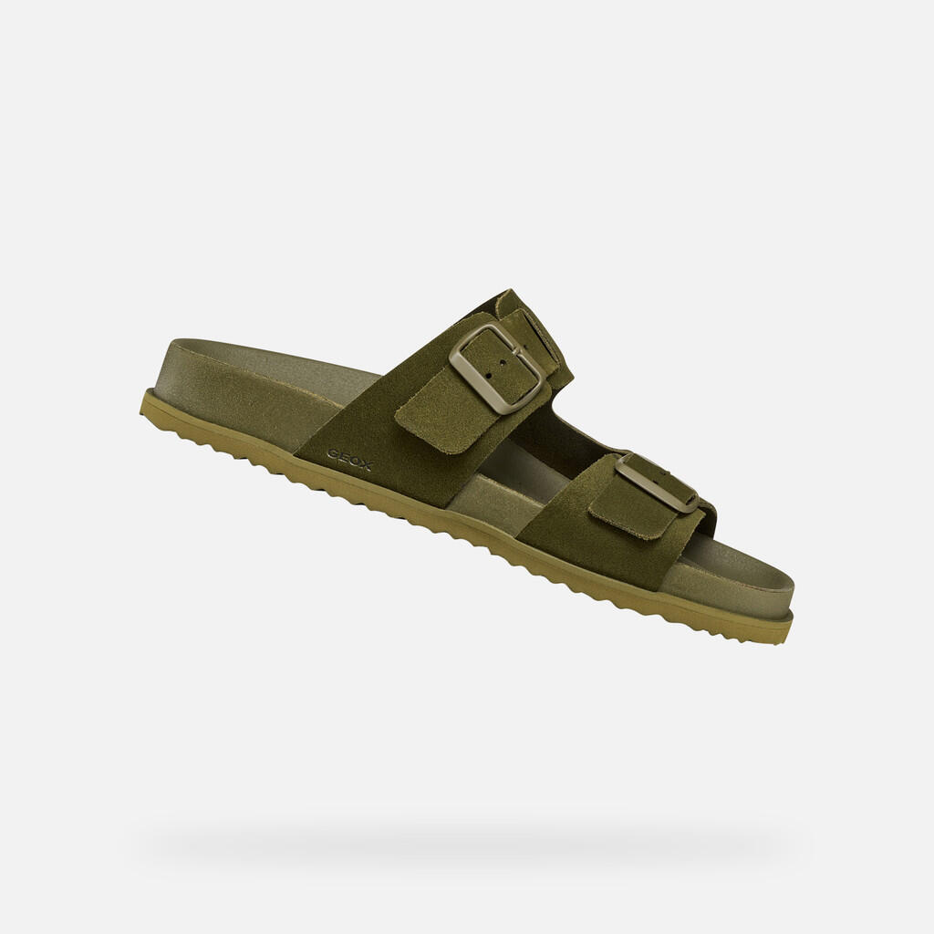 olive verte