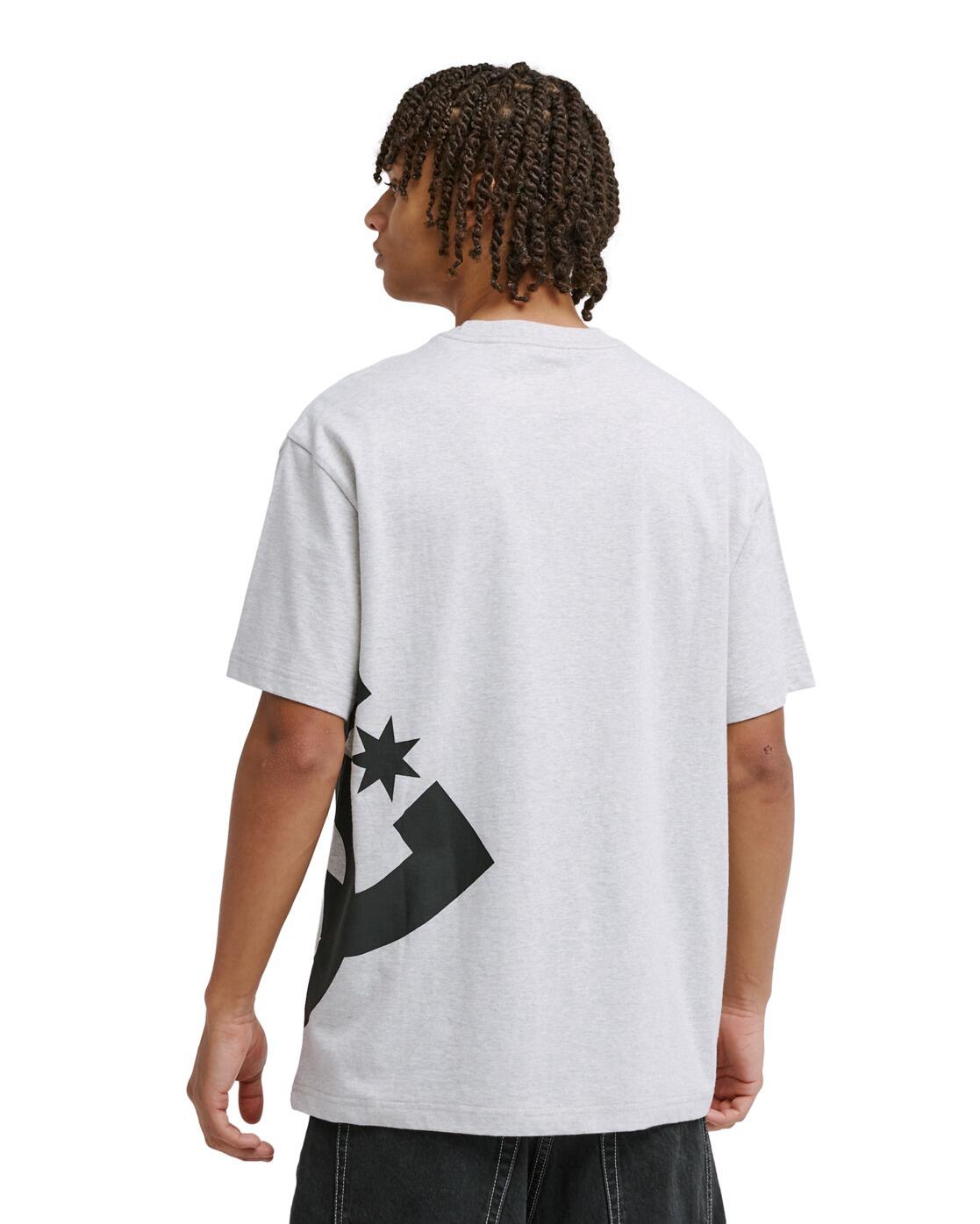 Camiseta de manga corta DC LANAI Gris Hombre 2/4