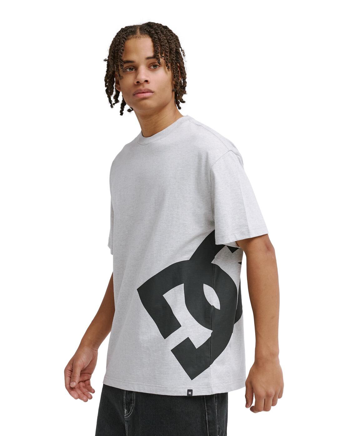 Camiseta de manga corta DC LANAI Gris Hombre 4/4