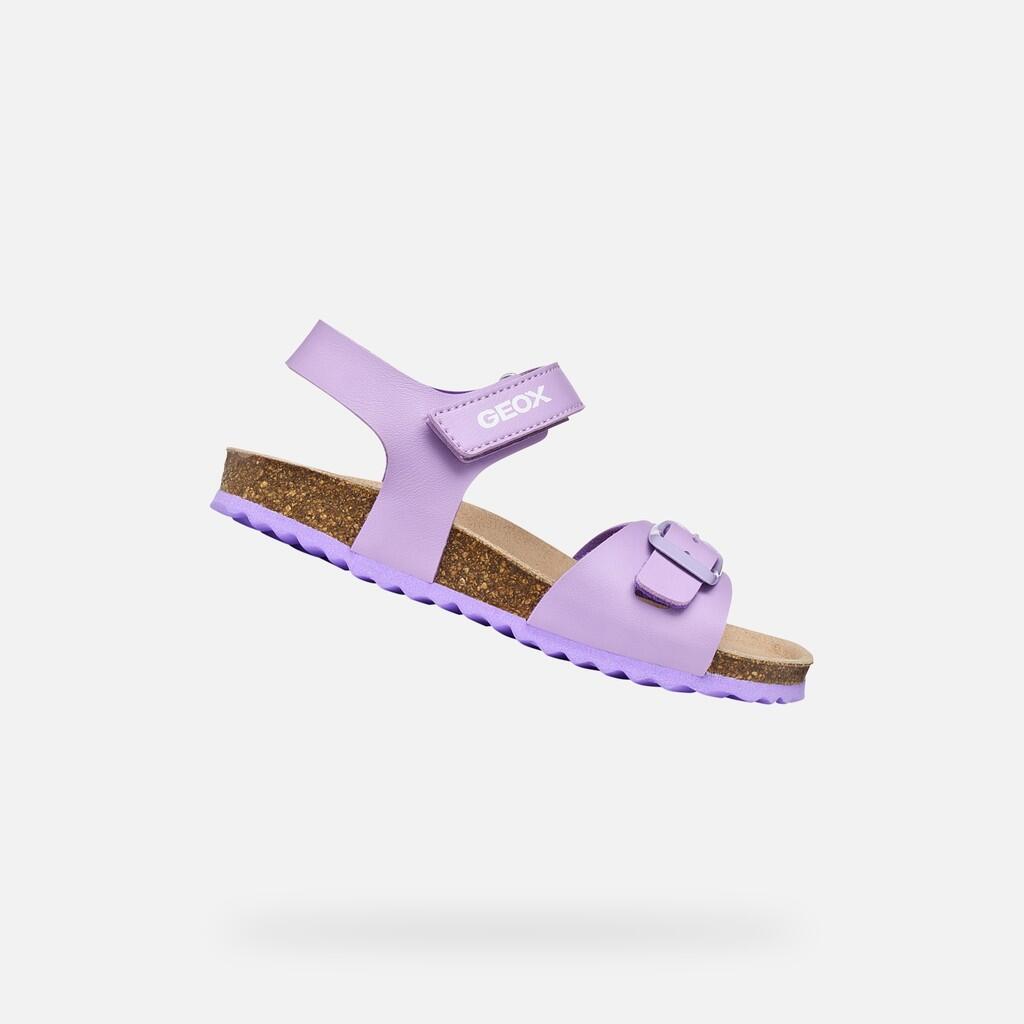lilas rose