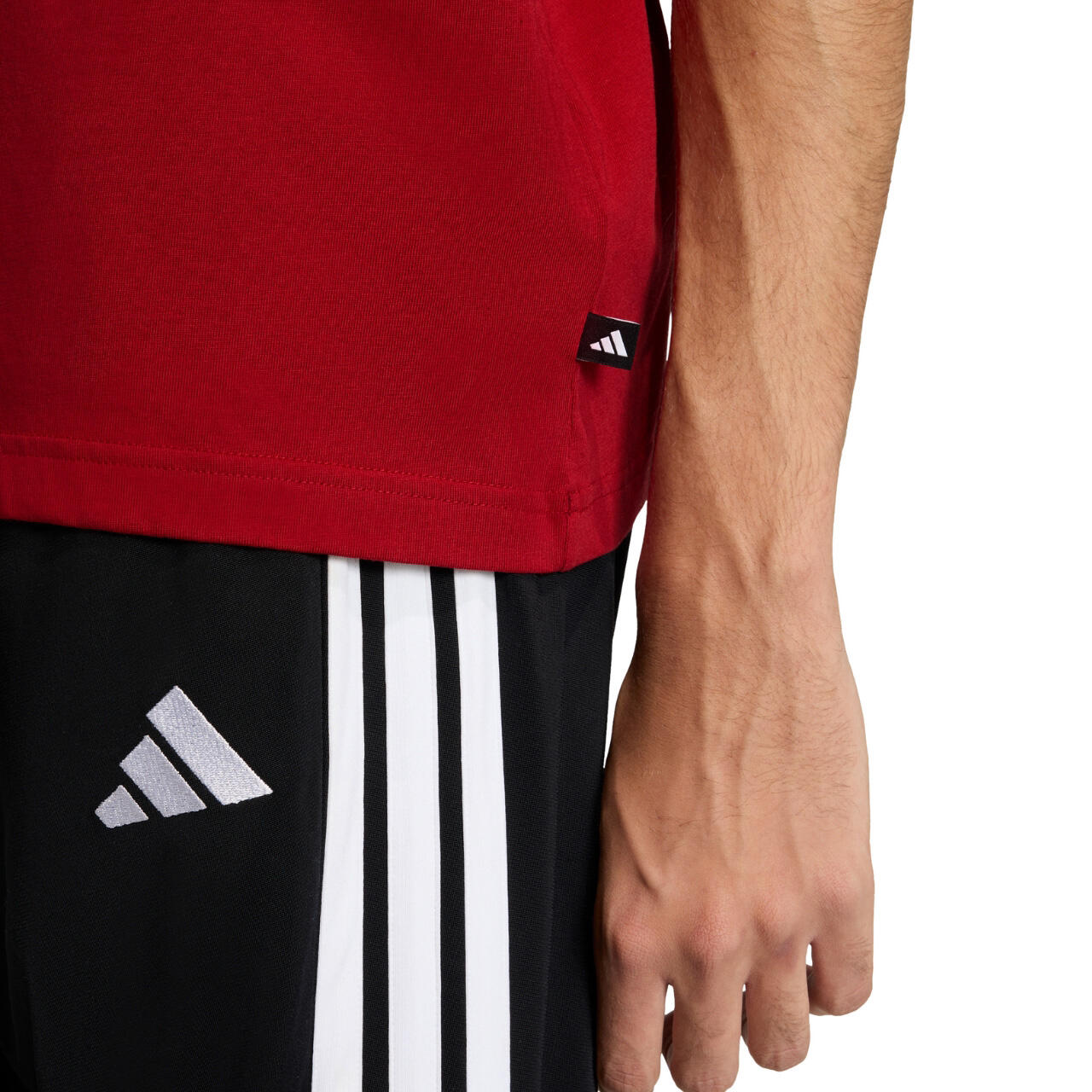 T-shirt homme adidas Color Icon Graphic 5/6