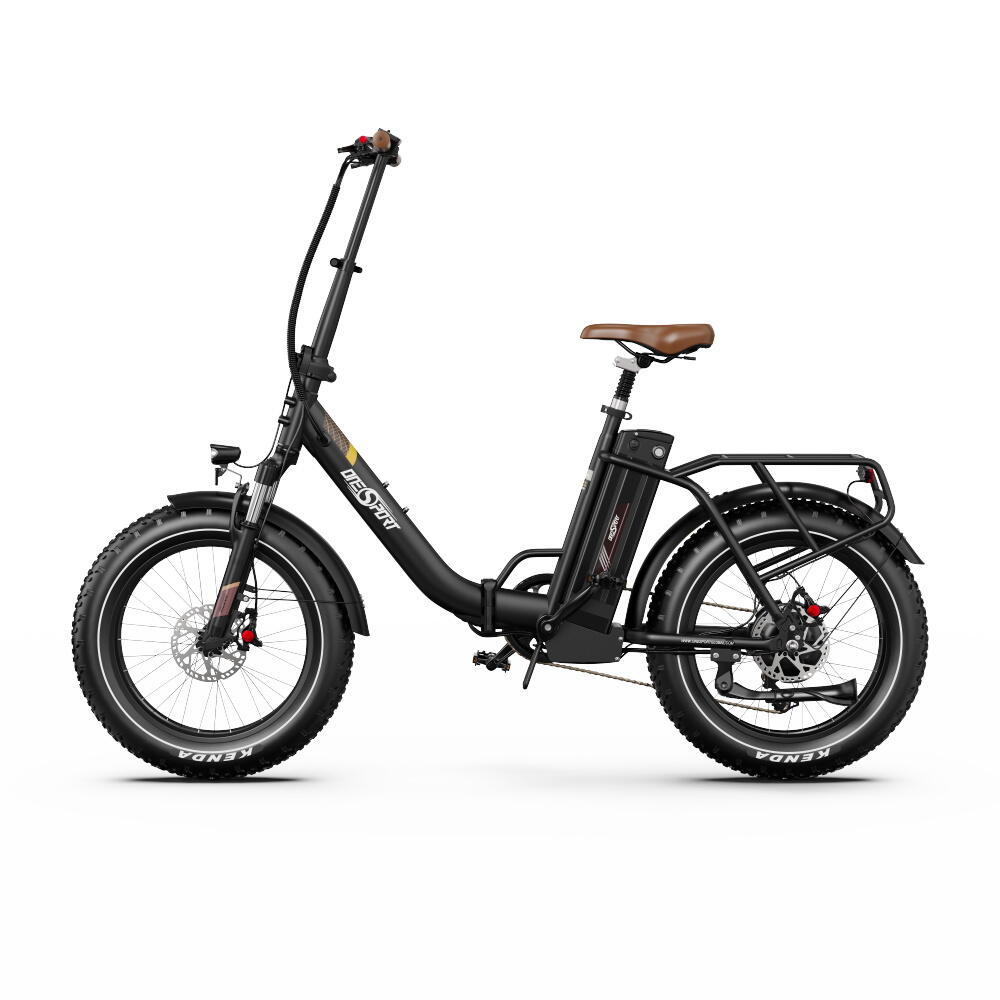 OT16 MAX – E-Bike Potente per Città & Fuoristrada, 48V 18Ah, 250W 3/7