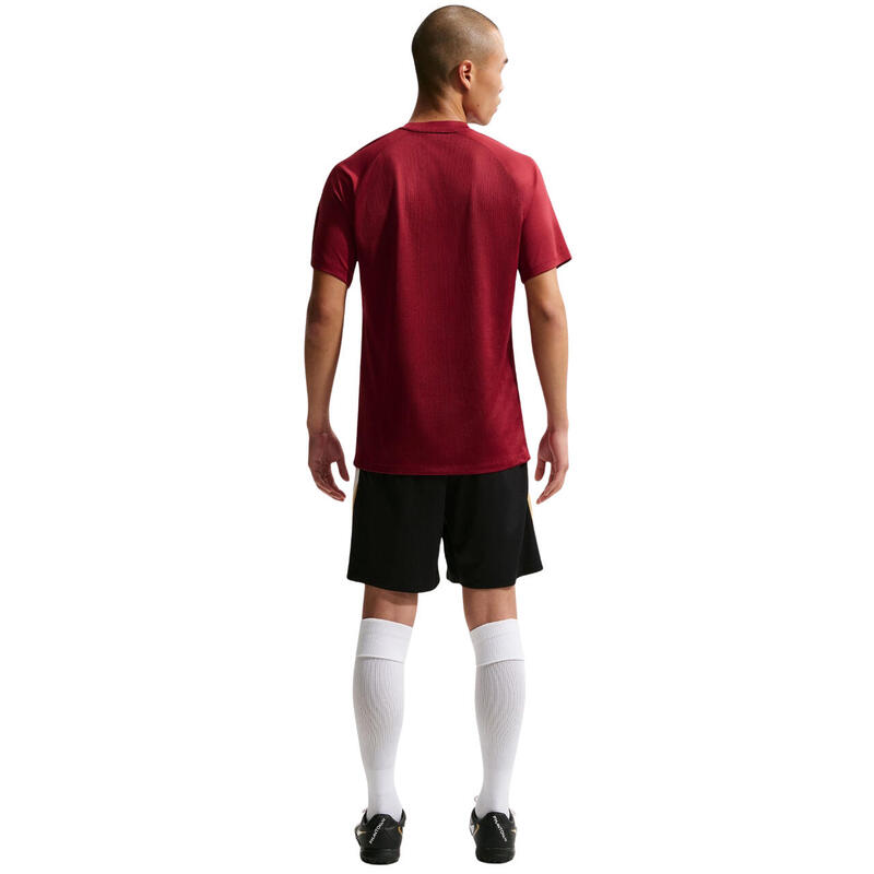 Tricou pentru bărbați Nike Dri-Fit Park VIII