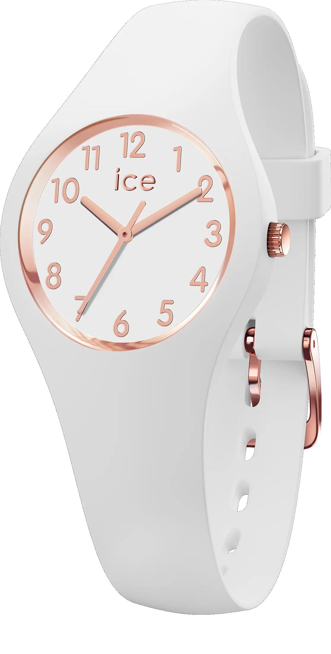 ICE WATCH picture
