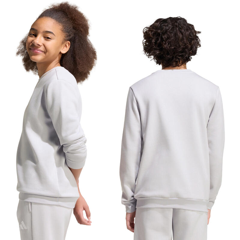 Hanorac pentru copii adidas Entrada 26 Sweat Top