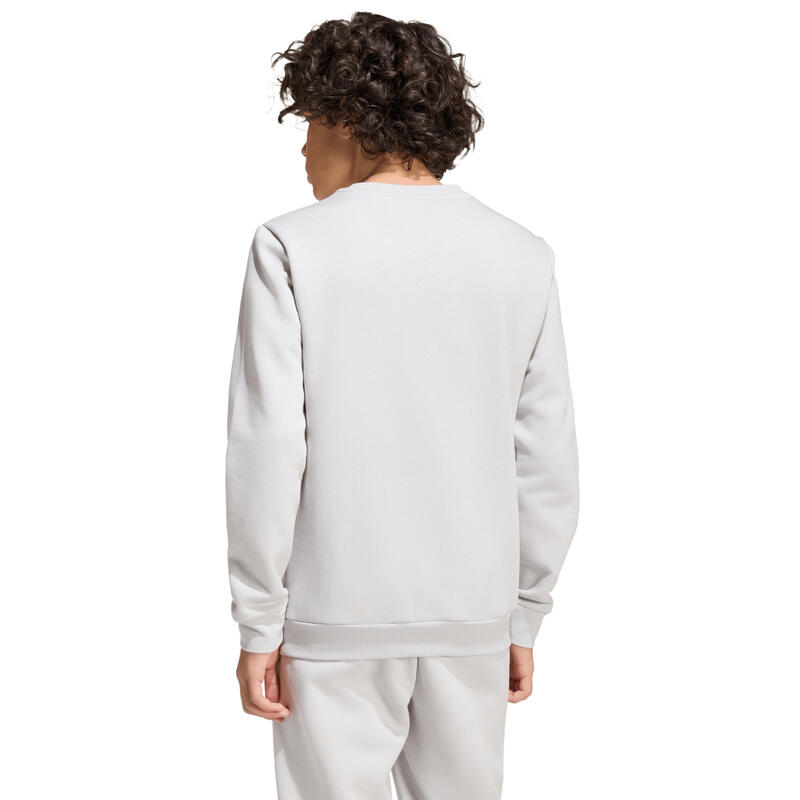 Hanorac pentru copii adidas Entrada 26 Sweat Top
