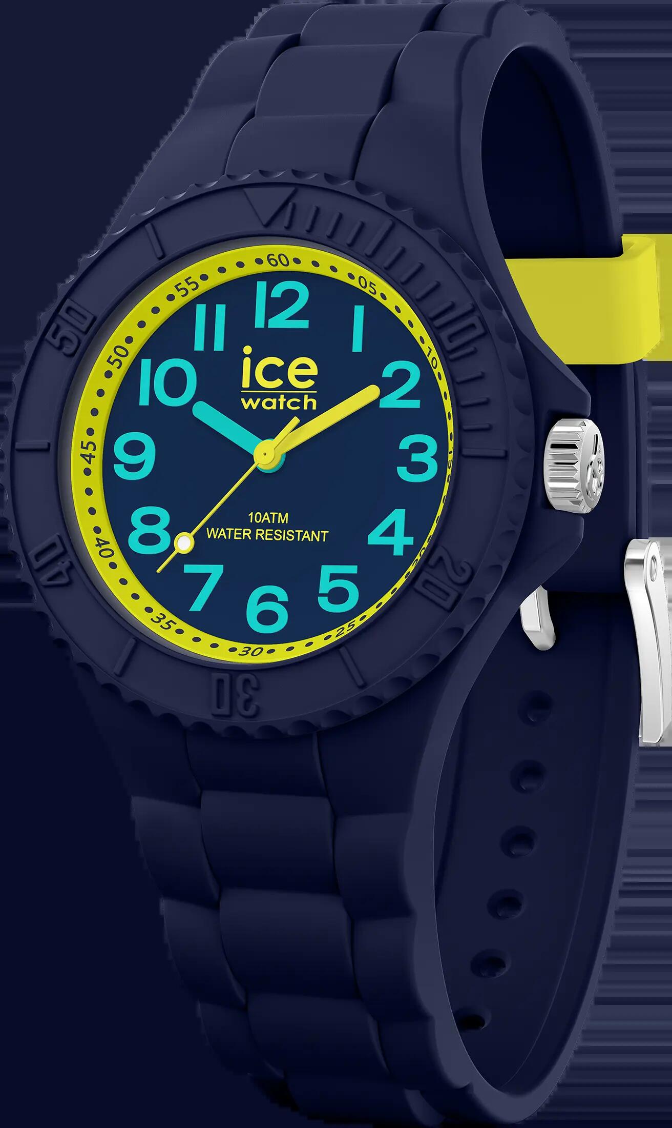 ICE WATCH picture