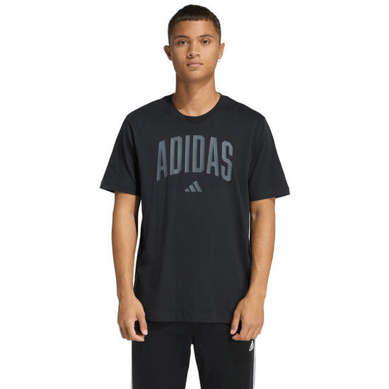 T-shirt homme adidas Collegiate Lineage