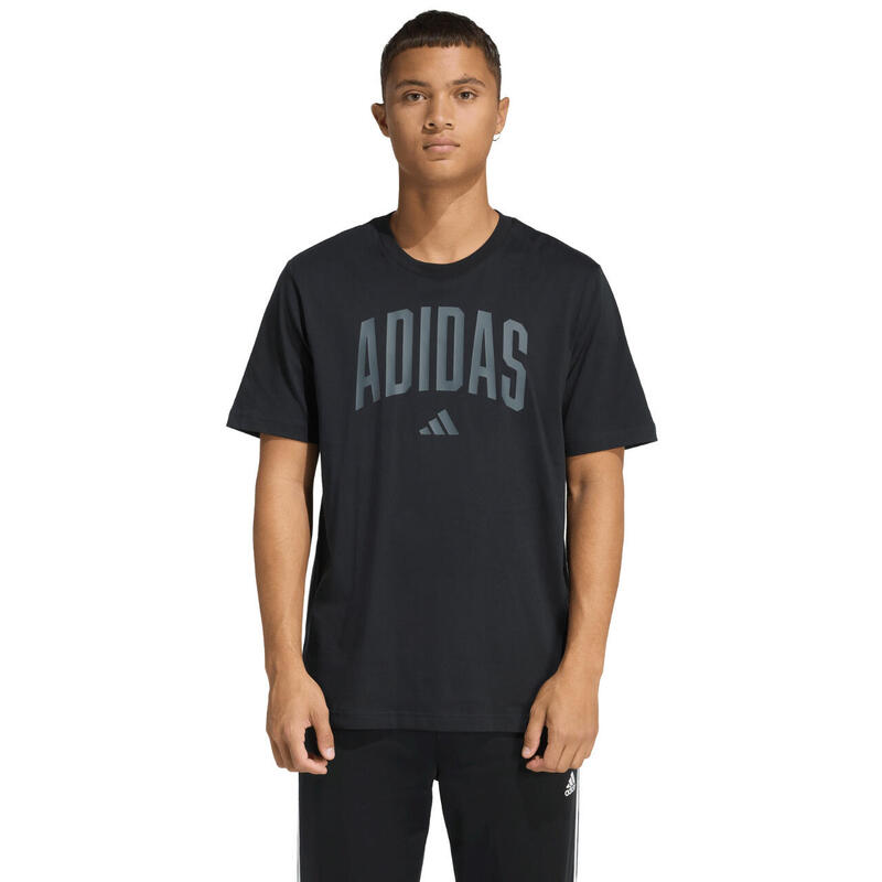 d46f56e7-9235-4282-99d4-354c0e787476_c1