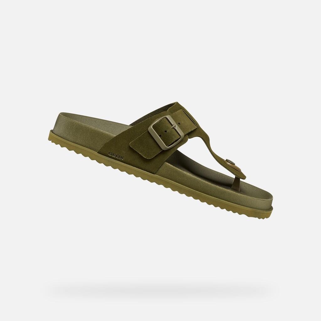 olive verte