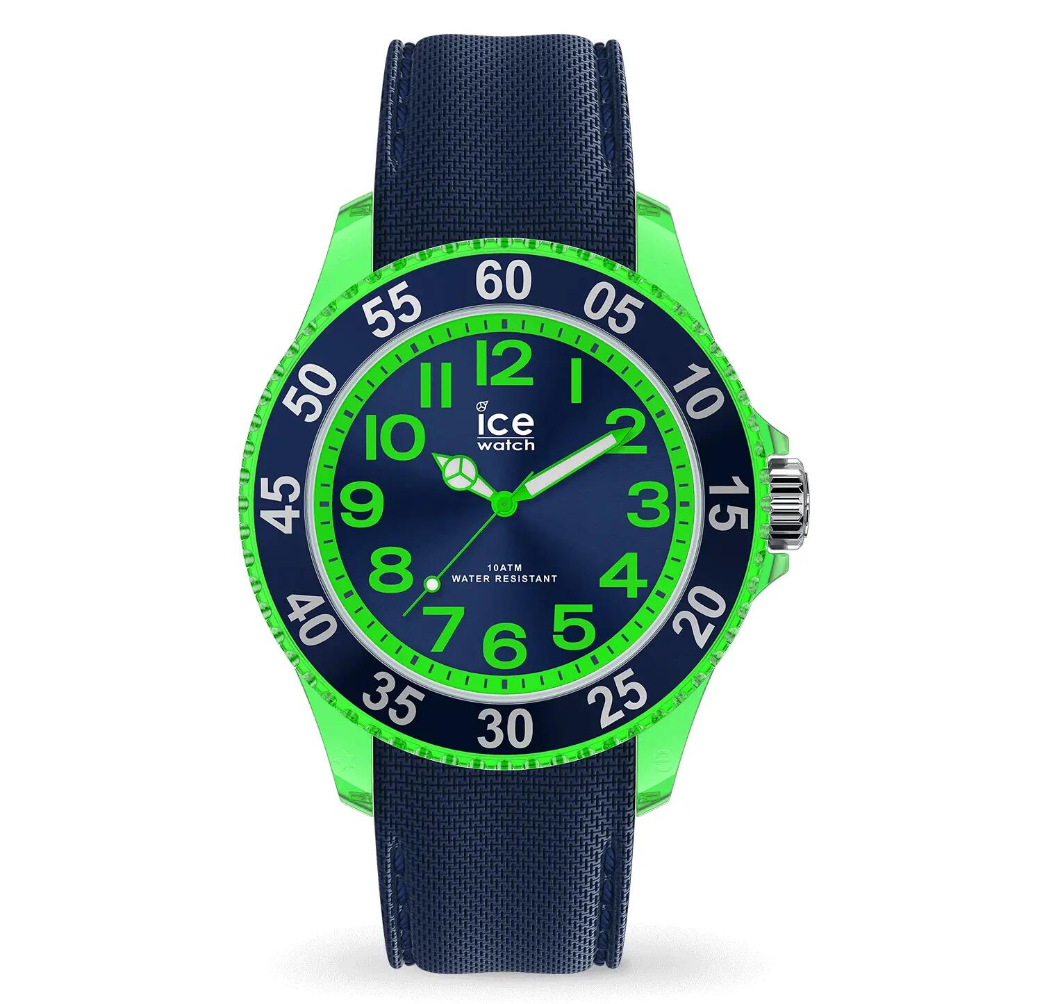 ICE WATCH picture