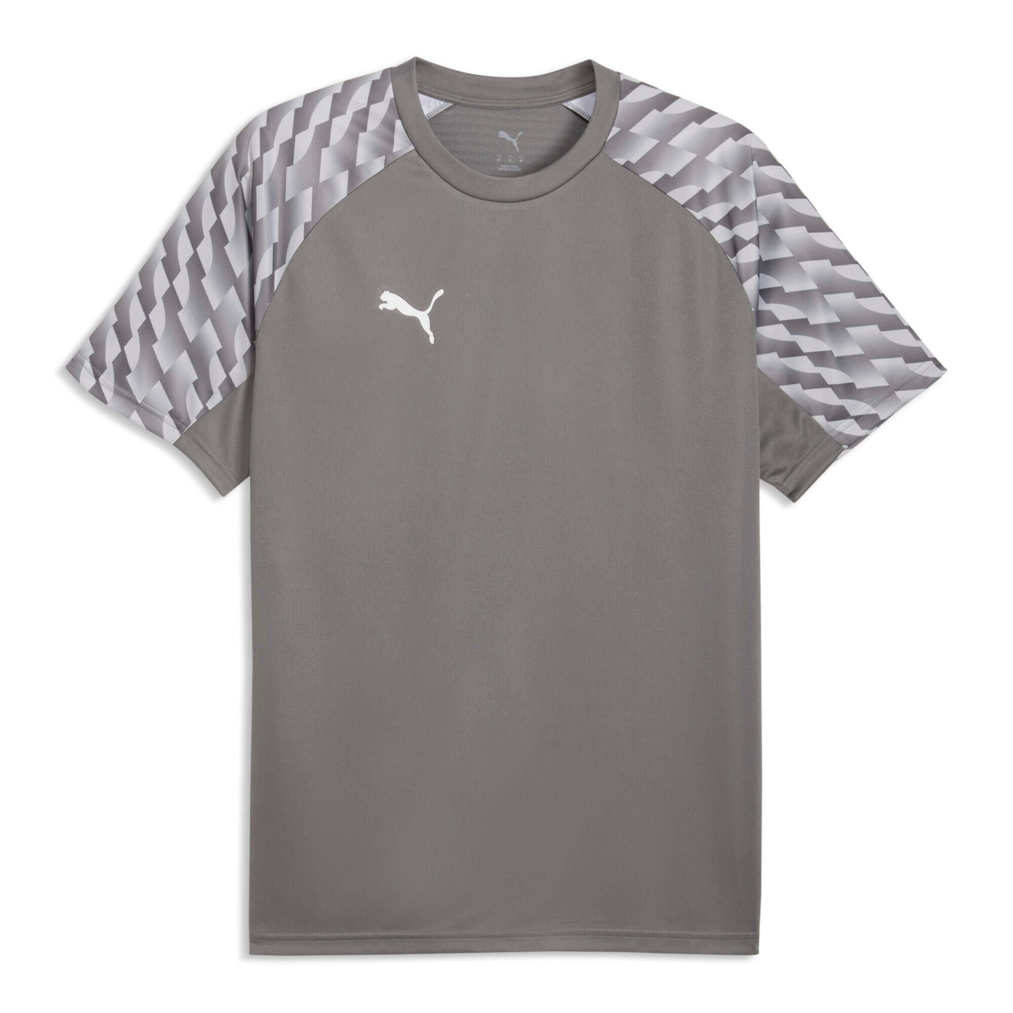 PUMA picture