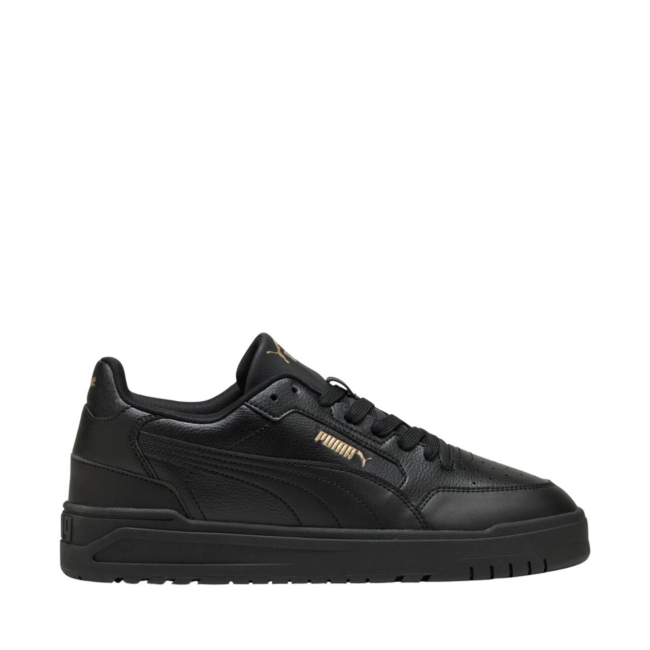 PUMA picture
