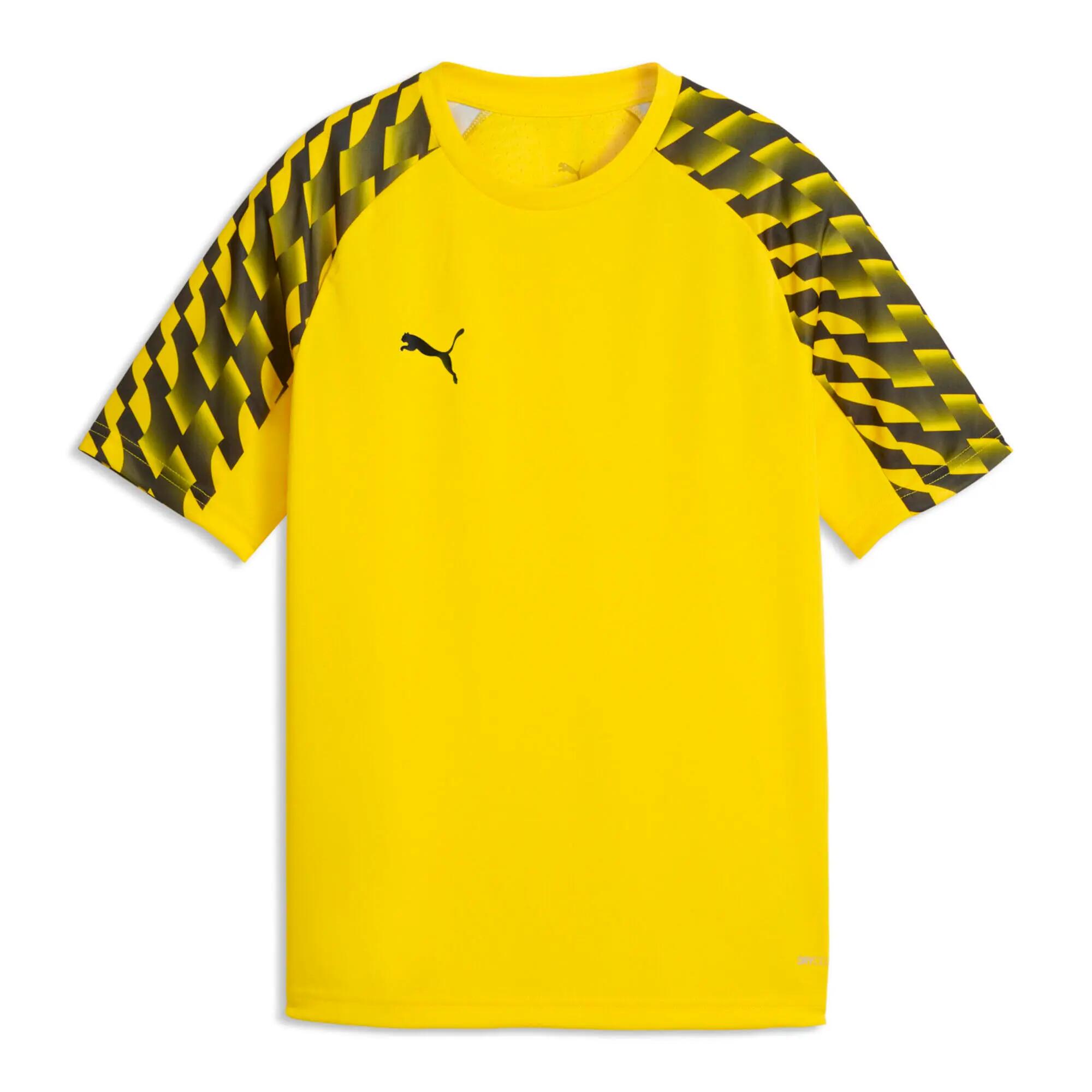 PUMA picture