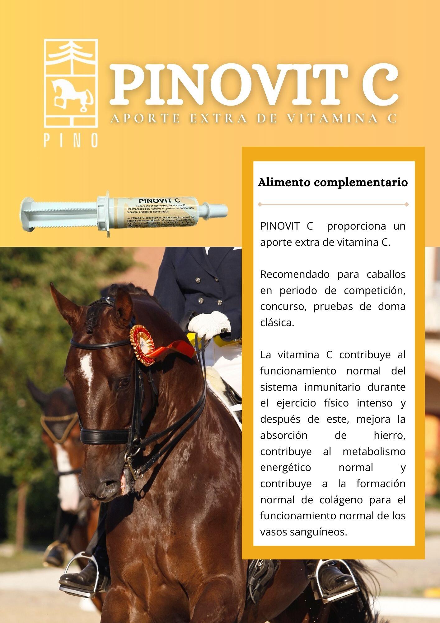 Vitamina C Caballos LABORATORIOS PINO Pinovit C Jet Jeringa 60 ml 2/4