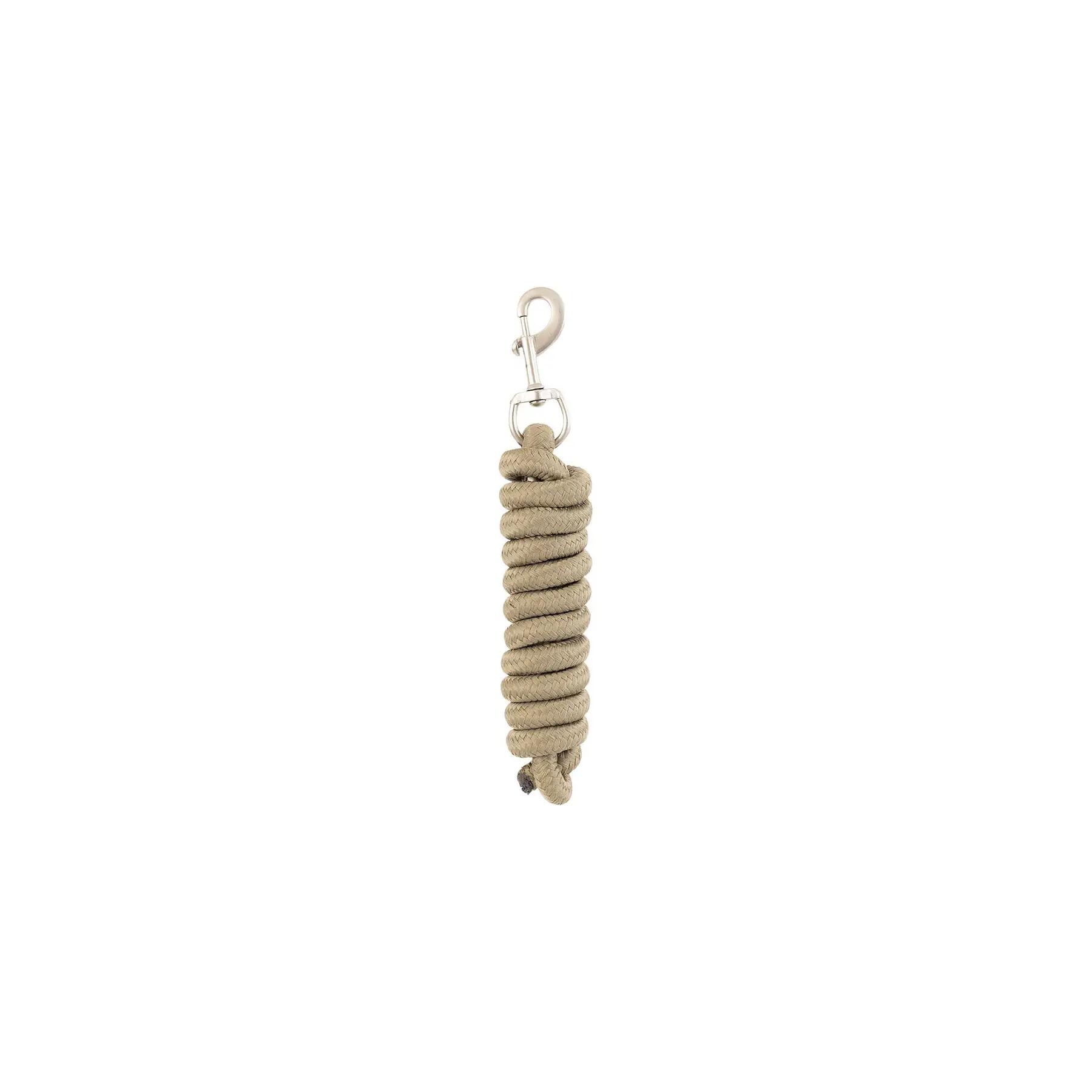 beige / grigio argento