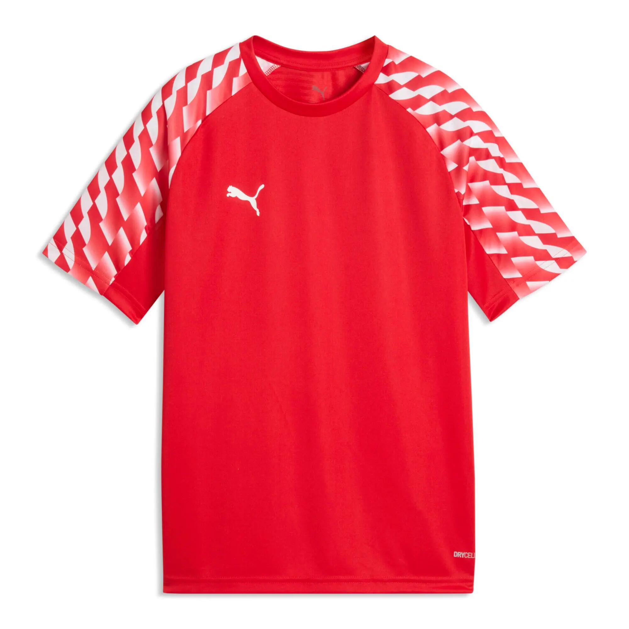 PUMA picture