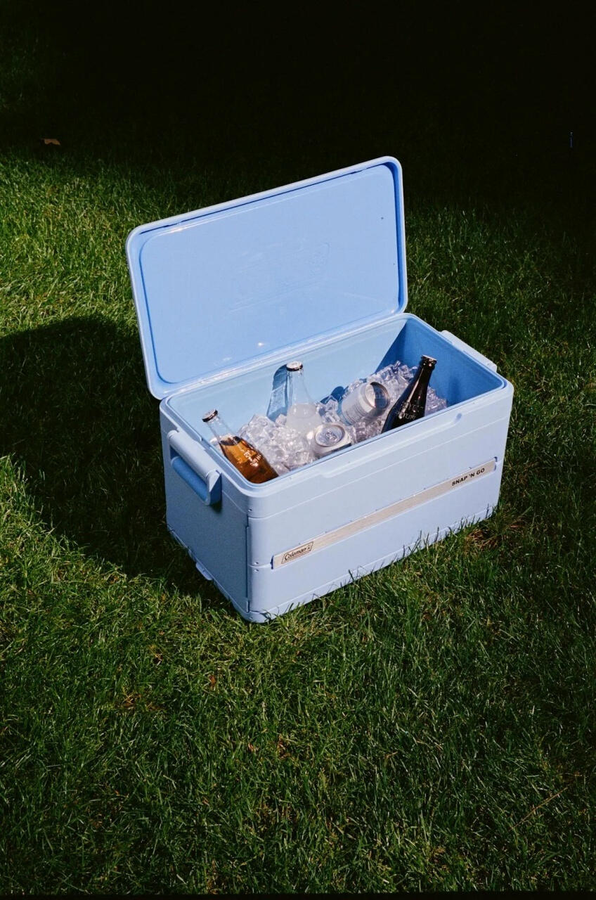 Lodówka turystyczna składana ColemanSNAP-N-GO 45QT Daydream 7/10