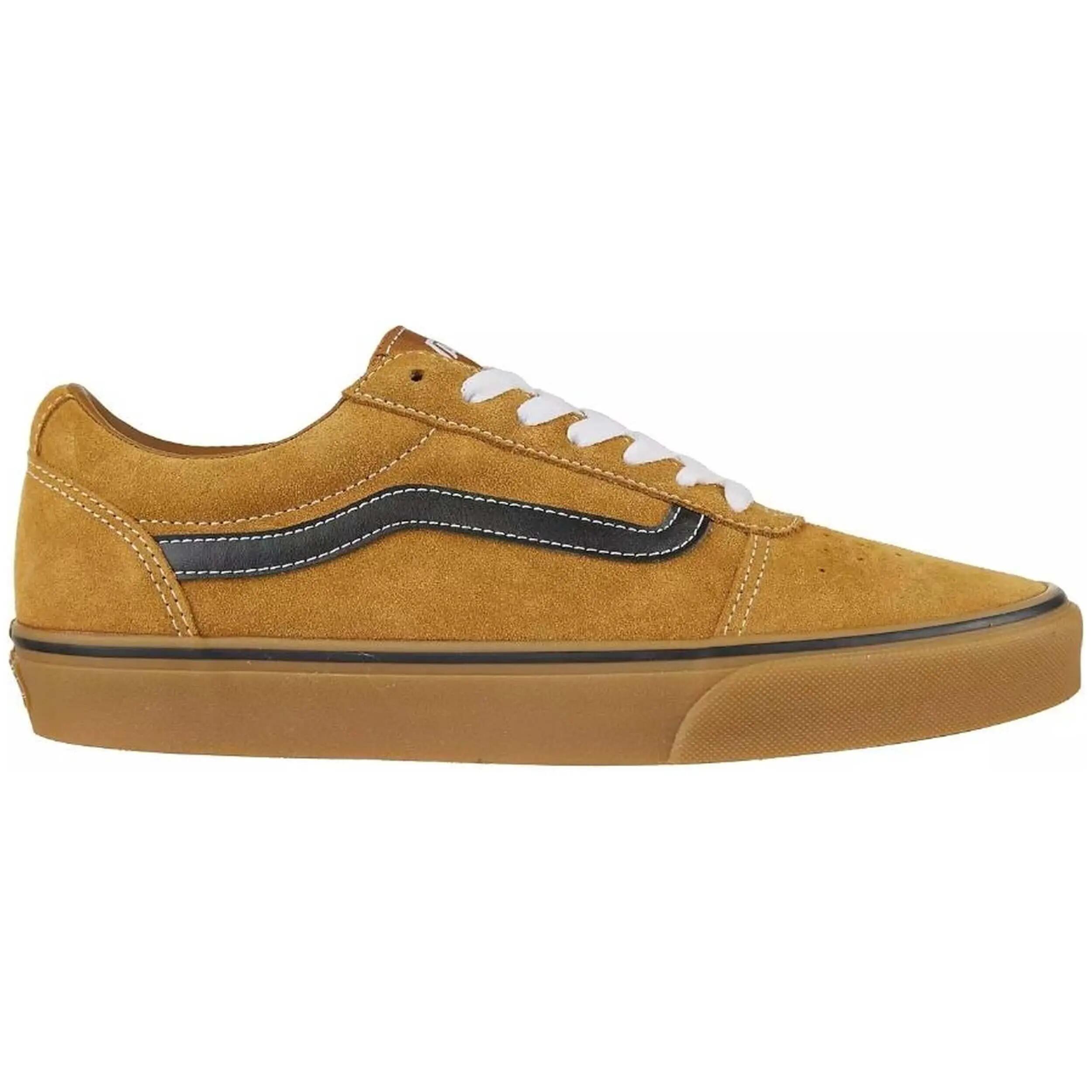 VANS picture