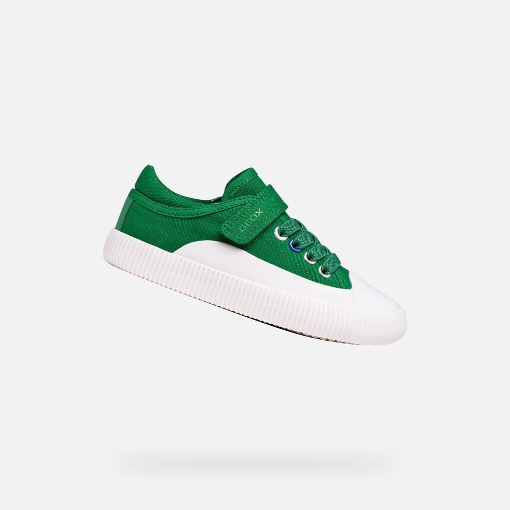 vert / blanc