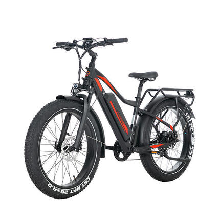 VTT électrique JOBOBIKE Robin Pro, batterie 48 V 20 Ah, Shimano 8 vitesses