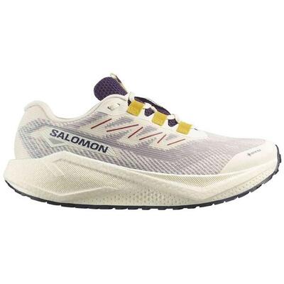 Hardloopschoenen salomon model aero blaze 3 grvl gtx voor mannen