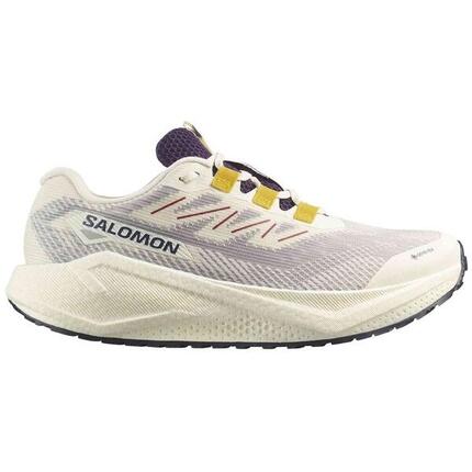 Chaussures de course Salomon modèle AERO BLAZE 3 GRVL GTX pour homme