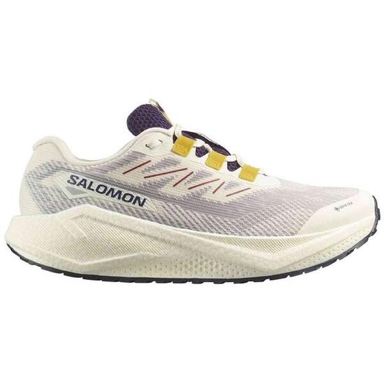 Chaussures de course Salomon modèle AERO BLAZE 3 GRVL GTX pour homme