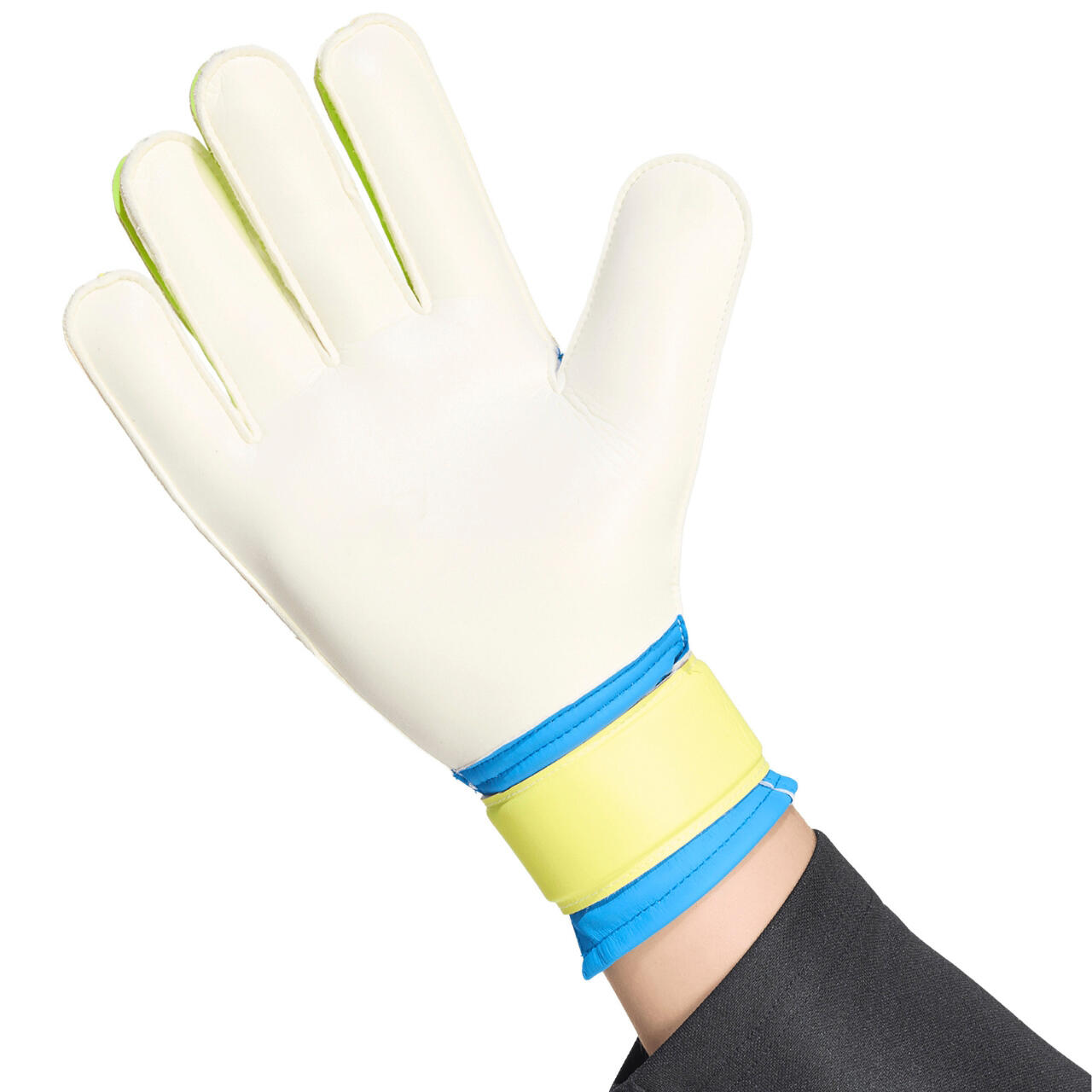 Gants de gardien adidas Predator Training 3/7