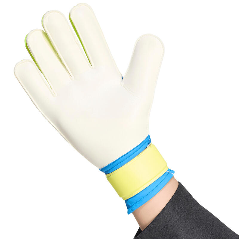 Mănuși de portar adidas Predator Training - bărbați, latex, cusute